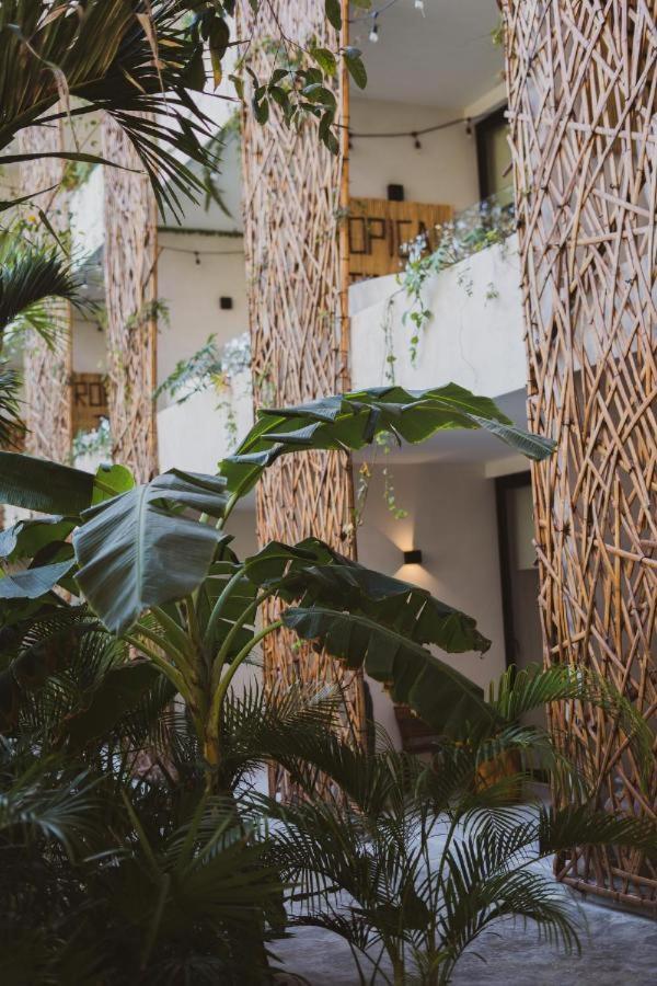Jade Tulum Appartement Buitenkant foto